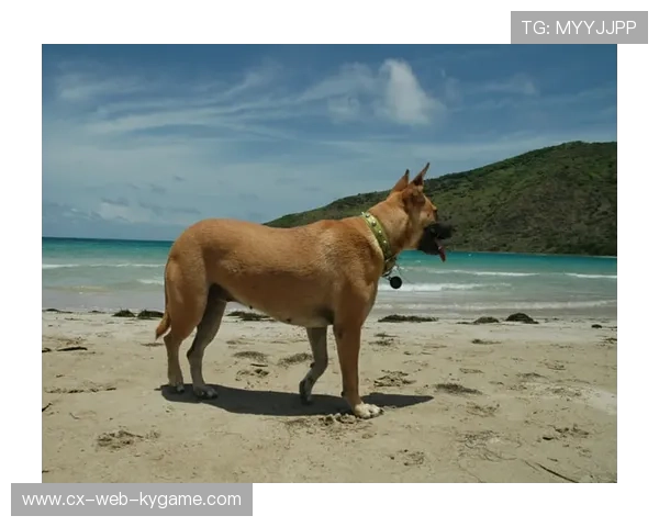 圣基茨和尼维斯骑行活动影响深远,圣基茨和尼维斯治安怎么样 圣基茨和尼维斯骑行活动影响深远,圣基茨和尼维斯治安怎么样